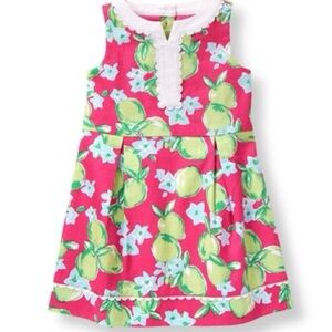 Janie and Jack dobby dress lime print Pink Green Dress girls size 3 preppy
